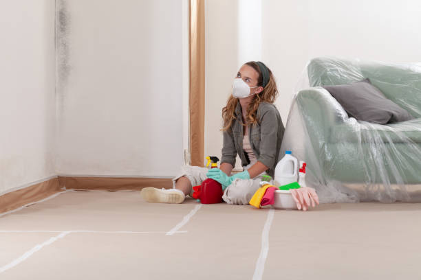 Reliable Black Mold Removal contractor in Gambrills, MD by WQB Mold Removal